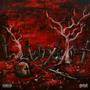 Exit Life (Explicit)