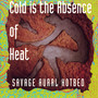 Cold Is The Absence of Heat