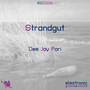 Strandgut