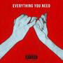 Everything You Need (feat. Kev Nasty & 808donnie) [Explicit]