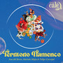 Territorio Flamenco