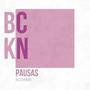 Pausas