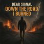 DOWN THE ROAD I BURNED