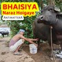 Bhaisiya Naraz Hoigaye