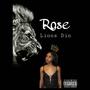 Lions Din (Explicit)