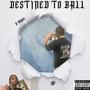 Destined To Ball (Explicit)