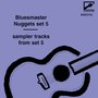 Bluesmaster Nuggets Sampler Sets, Set 5