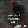 Dopeboy Paridise, Vol. 1 (Explicit)