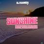 Sunshine (French Remix)