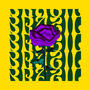Brazil (feat. Laittue, Nocima, Oumi, PR1S, RAMSS & RYSS7) [Explicit]