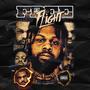 Free Flight (Explicit)