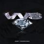 VVS (feat. Francis Global) [Explicit]