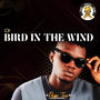 BIRD IN THE WIND