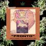 Fronto (feat. Single Stoners' Club, Dave Mills & Leck) [Explicit]