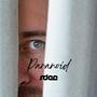 Paranoid (Radio Edit)