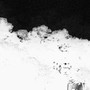 stray (Explicit)