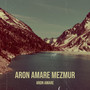 Aron Amare Mezmur