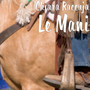 Le Mani