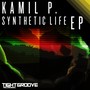 Synthetic Life