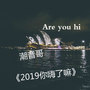 2019你嗨了嘛