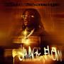Savage Flow (Explicit)