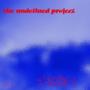 The Undefined Project, Vol. 2 (Explicit)