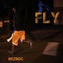 Fly (Explicit)