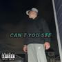 Can't You See (feat. Nathaniel's Experience) [Explicit]