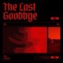 The Last Goodbye