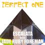 Perfect One (feat. Simon Hartung & Andrew Leppard)