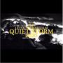 QUIET STORM 2020 (Explicit)