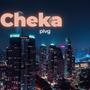 Checka Freestyle (Explicit)