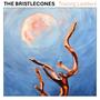 Long Goodbyes (feat. Kara McKee)
