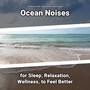 Ocean Noises for Sleep, Relaxation, Wellness, to Feel Better