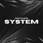 System