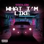 What Im Like (Explicit)