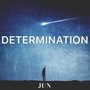 Determination