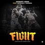 Fight (feat. Mitchie & Skinna) [Explicit]