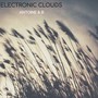 Electronic clouds