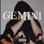 GEMIN1 (Explicit)