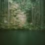 cenote