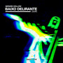 BAIXO DELIRANTE (Gerard Hollow VIP Remix)
