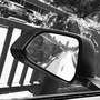 Philosophy (29)