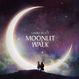 Moonlit Walk