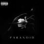 PARANOID (feat. Airliftz & Brendonse7an)