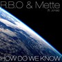 How Do We Know (feat. Jonas)