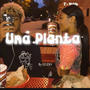 Una planta (Explicit)