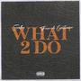 What 2 Do (feat. French Couturier) [Explicit]