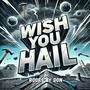 Wish You Hail (Explicit)