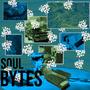 SOUL BYTES EP